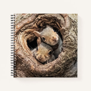 Niedliche Kleintiere   Zwei junge Eichhörnchen Notizbuch