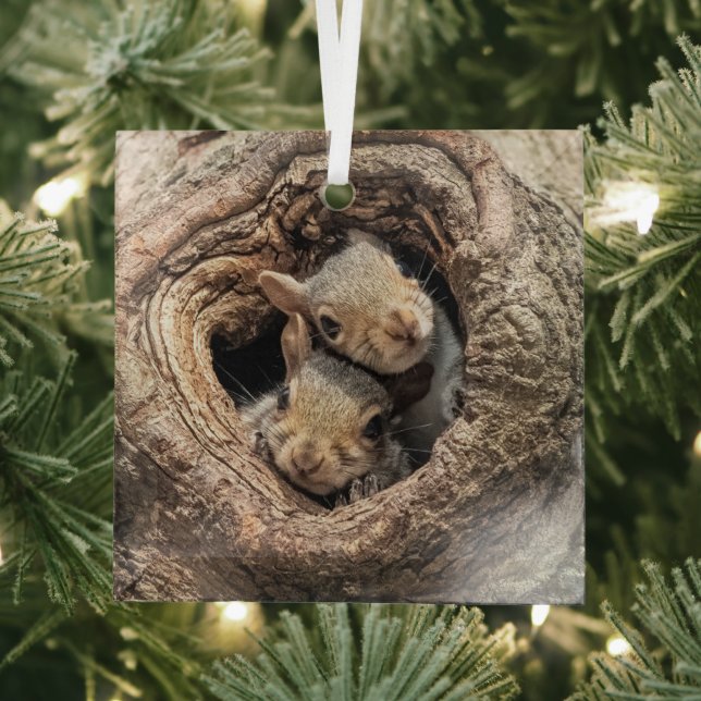 Niedliche Kleintiere | Zwei junge Eichhörnchen Ornament Aus Glas (Insitu)