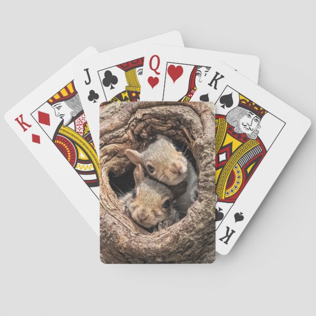 Niedliche Kleintiere | Zwei junge Eichhörnchen Spielkarten (Rückseite)