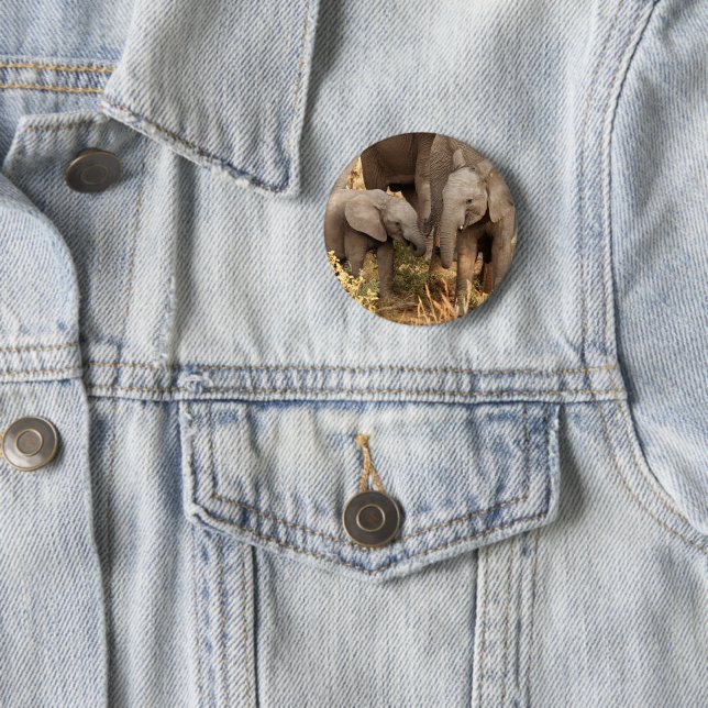 Niedliche Kleintiere | Zwei junge Elefanten Button (Beispiel)