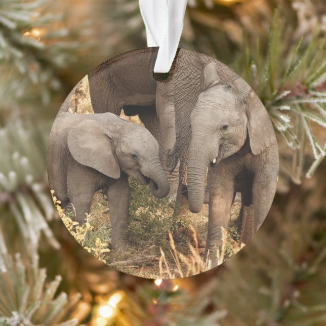 Niedliche Kleintiere | Zwei junge Elefanten Ornament (Baum)