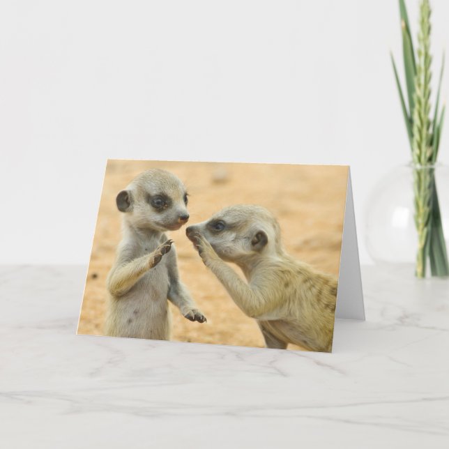 Niedliche Kleintiere | Zwei junge Meerkats Karte (Vorderseite)