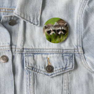 Niedliche Kleintiere Zwei junge Raccos Button