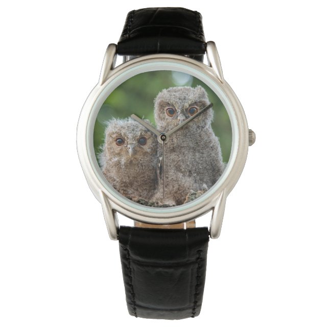 Niedliche Kleintiere | Zwei junge Schafe Armbanduhr (Vorderseite)