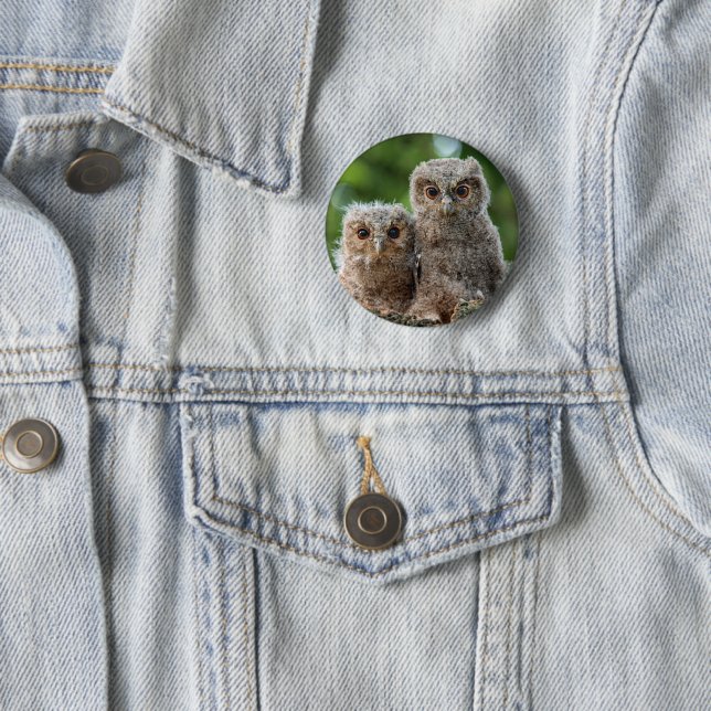Niedliche Kleintiere | Zwei junge Schafe Button (Beispiel)
