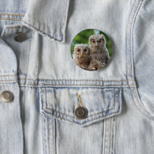 Niedliche Kleintiere Zwei junge Schafe Button