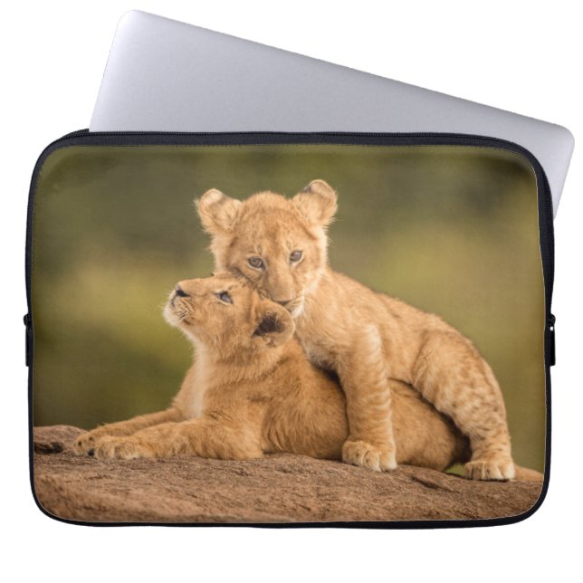 Niedliche Kleintiere | Zwei Lion Cubs Laptopschutzhülle (Vorderseite)