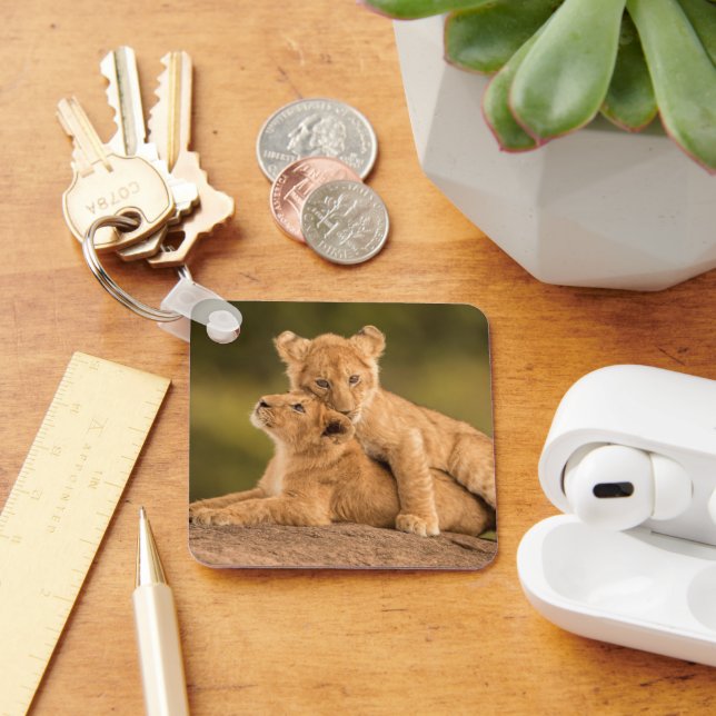 Niedliche Kleintiere | Zwei Lion Cubs Schlüsselanhänger (Schreibtisch)