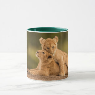 Niedliche Kleintiere Zwei Lion Cubs Tasse