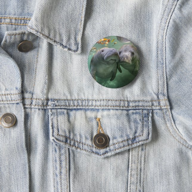 Niedliche Kleintiere | Zwei Manatees Button (Beispiel)