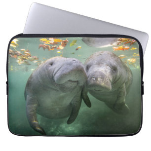 Niedliche Kleintiere   Zwei Manatees Laptopschutzhülle
