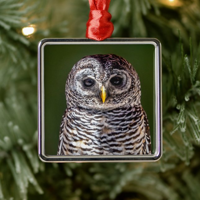 Niedliche Kleintiere | Zwerghuhn Ornament Aus Metall (Baum)