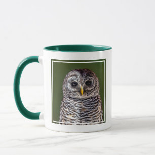 Niedliche Kleintiere   Zwerghuhn Tasse