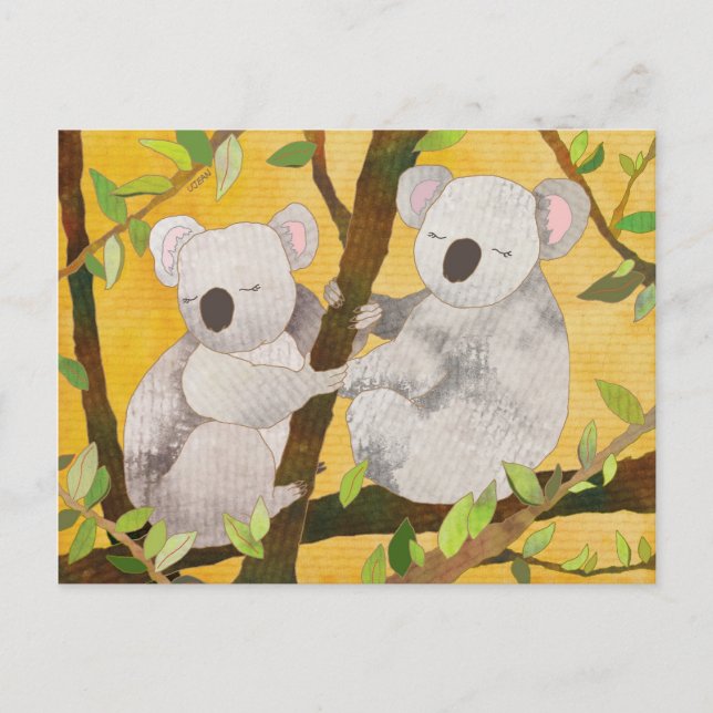Niedliche Koala-Bären in Australien Postkarte (Vorderseite)