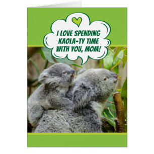 Niedliche Koala-Bären verbringen Zeit zusammen