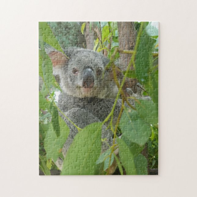 Niedliche Koala Bear Baby Australien Fotografie (Vertikal)