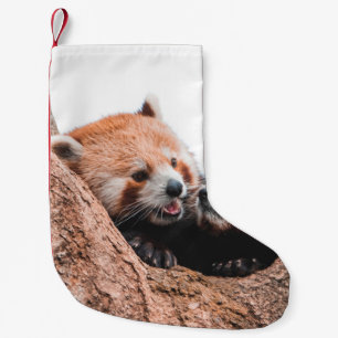 NIEDLICHE KOALA BEAR FAMILIE KLEINER WEIHNACHTSSTRUMPF