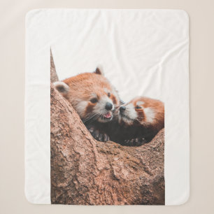 NIEDLICHE KOALA BEAR FAMILIE SHERPADECKE