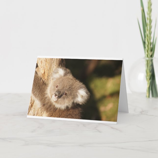 Niedliche Koala Bears Party Dusche Geburtstag Karte (Vorderseite)