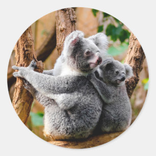 Niedliche Koala Bears Runder Aufkleber
