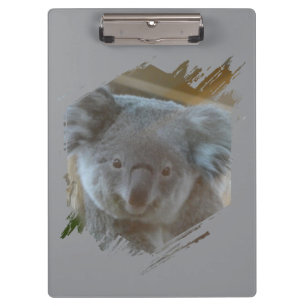 Niedliche Koala Cust. BG-Zwischenablage Klemmbrett