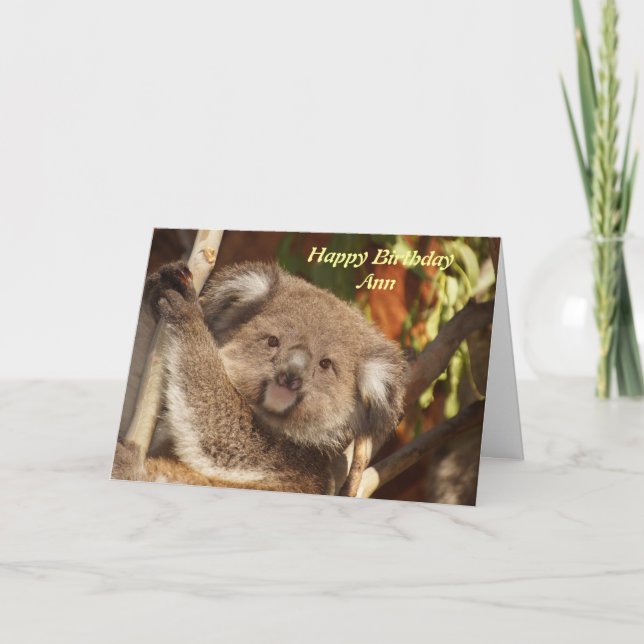 Niedliche Koala Foto Geburtstagskarte Karte (Vorderseite)