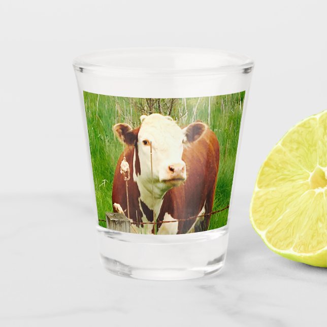 Niedliche Kuh 4 Cent Schnapsglas (Vorderseite)