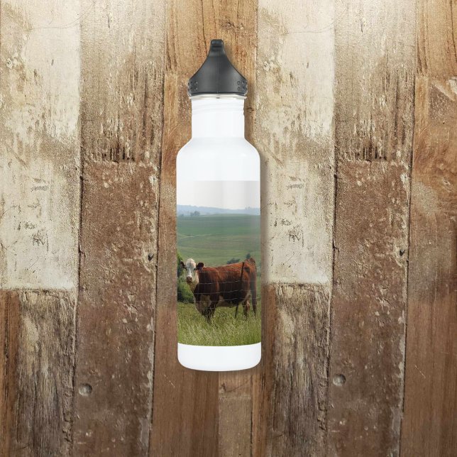 Niedliche Kuh im landwirtschaftlichen Betrieb mit  Edelstahlflasche (Von Creator hochgeladen)