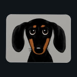 Niedliche Kurze Haarbolder-Dackel Magnet<br><div class="desc">Dackel Dog Cartoon</div>