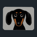 Niedliche Kurze Haarbolder-Dackel Magnet<br><div class="desc">Dackel Dog Cartoon</div>