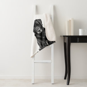 Niedliche Labrador Black Dog Puppy Pet Sketch Sherpadecke