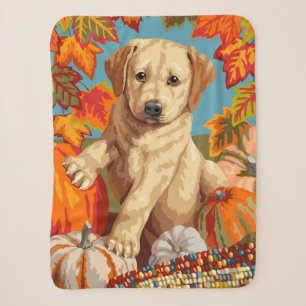 Niedliche Labrador Retriever Welpe Herbsternte Sherpadecke