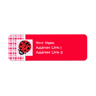 Niedliche Ladybug
