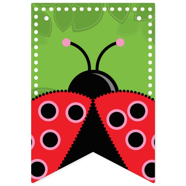 Niedliche Ladybug Birthday Bunting Flags/Banner Wimpelkette (Erste Fahne)