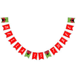 Niedliche Ladybug Birthday Bunting Flags/Banner Wimpelkette