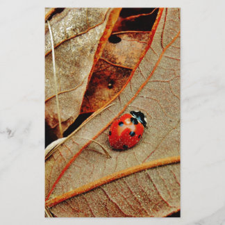 niedliche Ladybug-Kostüme personalisieren Namensge