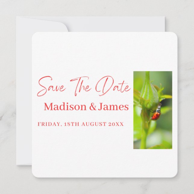 Niedliche ladybug Script Save the Date Einladung (Vorderseite)