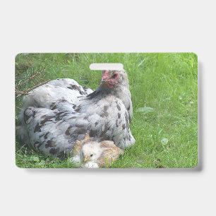 niedliche, landwirtschaftliche, Tiere, Kinder, Nut Ausweis