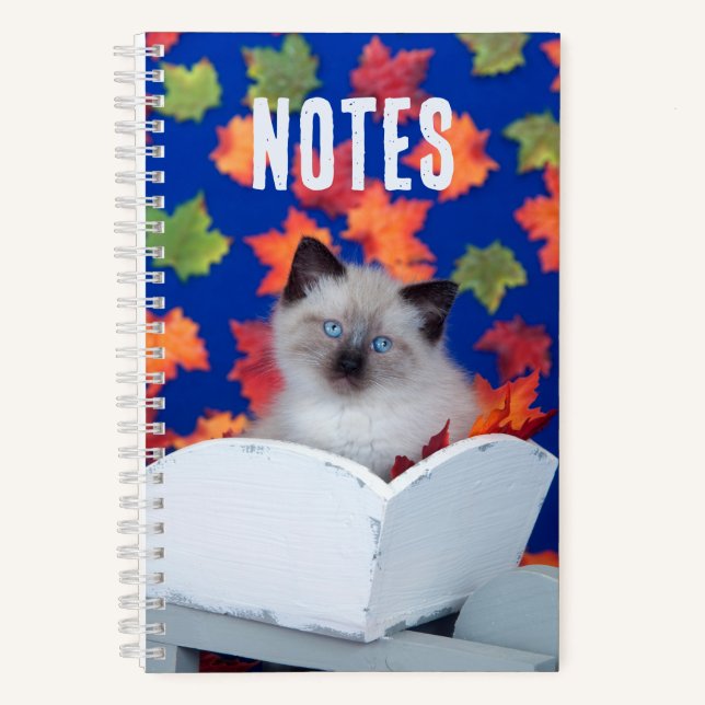 Niedliche Langhaarkatze Notizbuch (Vorderseite)