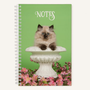 Niedliche Langhaarkatze Notizbuch