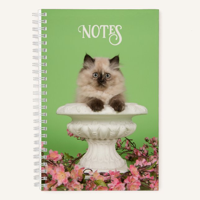 Niedliche Langhaarkatze Notizbuch (Vorderseite)
