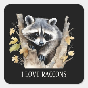 Niedliche Liebe Raccoons Tierliebhaber fügen Text Quadratischer Aufkleber