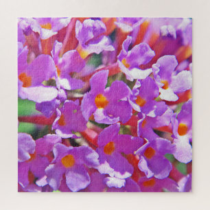 Niedliche lila kleine Blume
