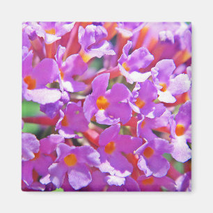 Niedliche lila kleine Blume Magnet