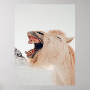 NIEDLICHE LLAMA ALPACA LAGHING POSTER