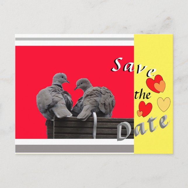 Niedliche Lovebirds SAVE THE DATE Herz Postkarte (Vorderseite)