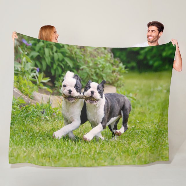 Niedliche lustige Boston Terrier Hunde spielen - Fleecedecke (Beispiel)