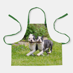 Niedliche lustige Boston Terrier Hunde spielen - Schürze