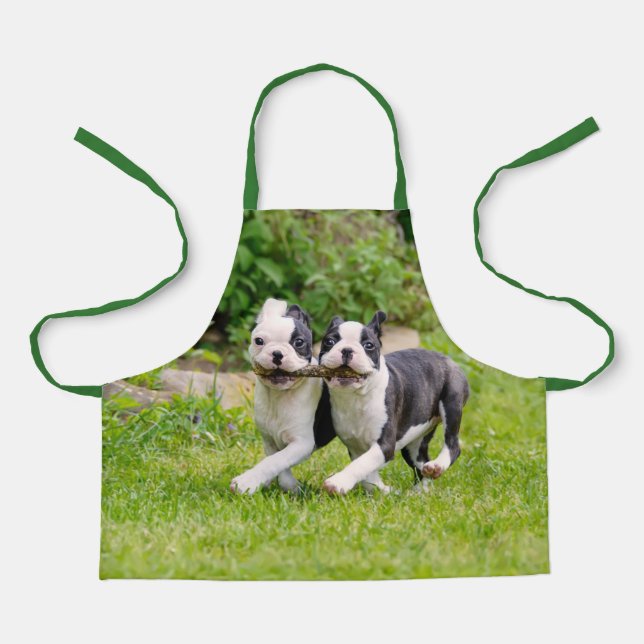 Niedliche lustige Boston Terrier Hunde spielen - Schürze (Vorderseite)