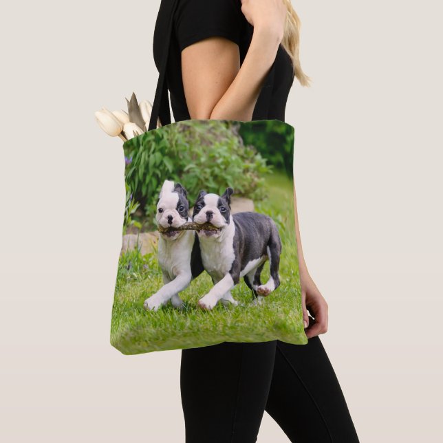 Niedliche lustige Boston Terrier Hunde Welpen spie Tasche (Von Nahem)